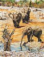 Nature Art supporting Amboseli Trust for Elephants